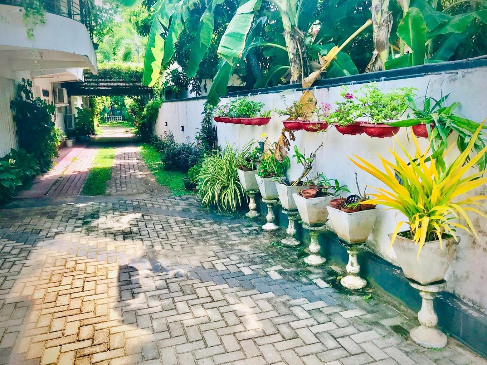 Pinidiya Resort أنرادابورام المظهر الخارجي الصورة
