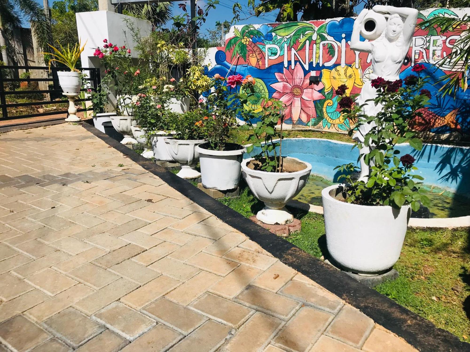 Pinidiya Resort أنرادابورام المظهر الخارجي الصورة