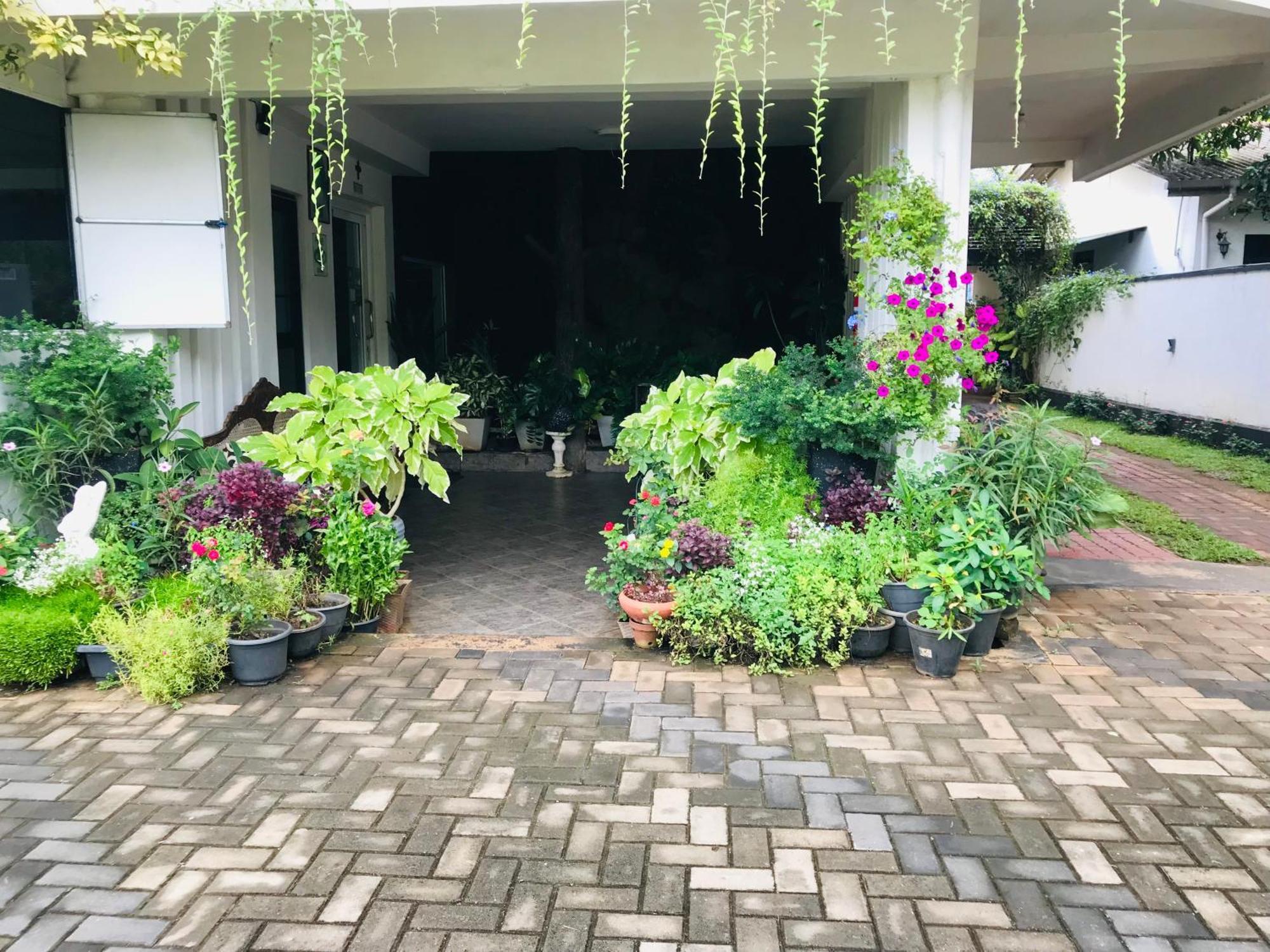 Pinidiya Resort أنرادابورام المظهر الخارجي الصورة